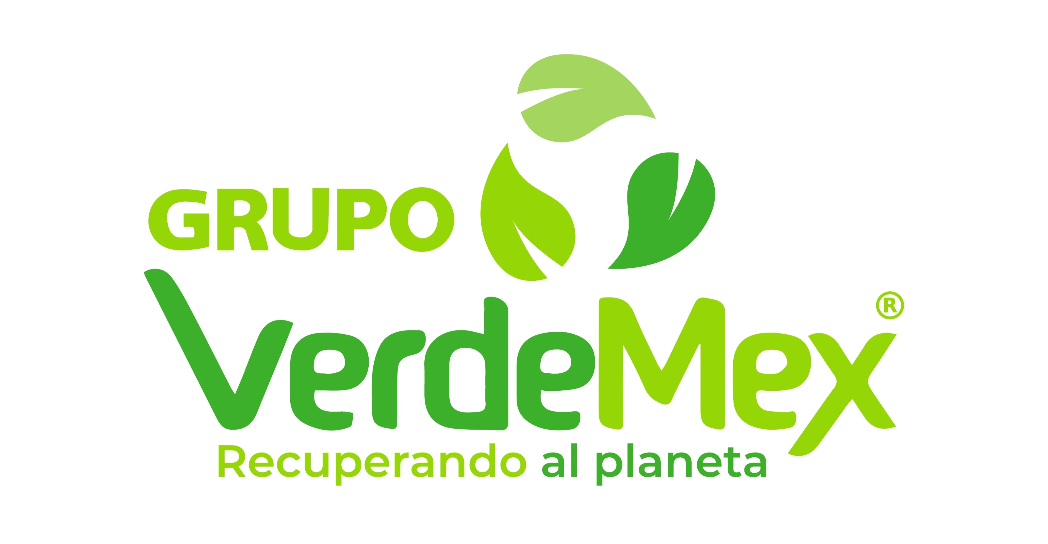 Grupo verdemex