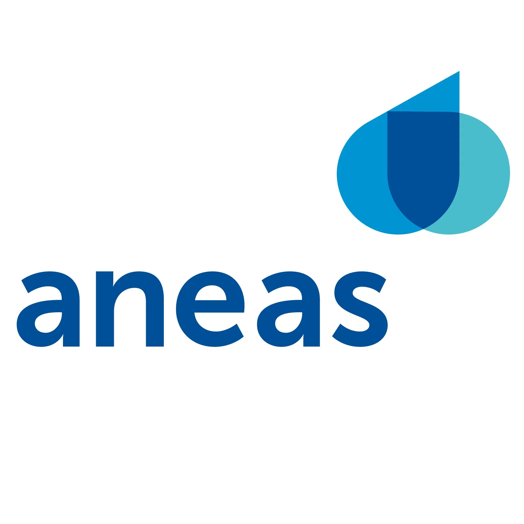 aneas