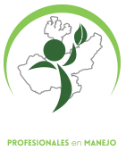 pmrj